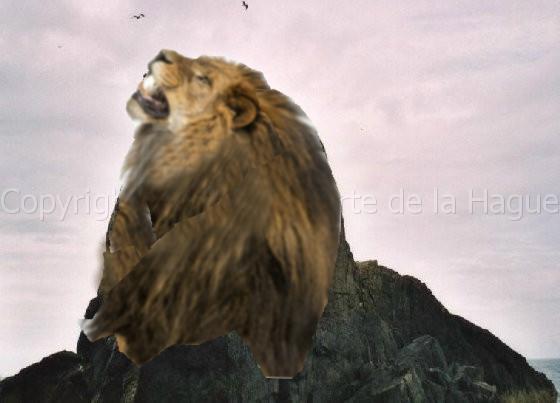 lion